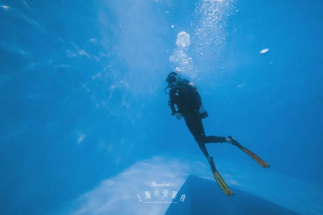 沙漠避难所